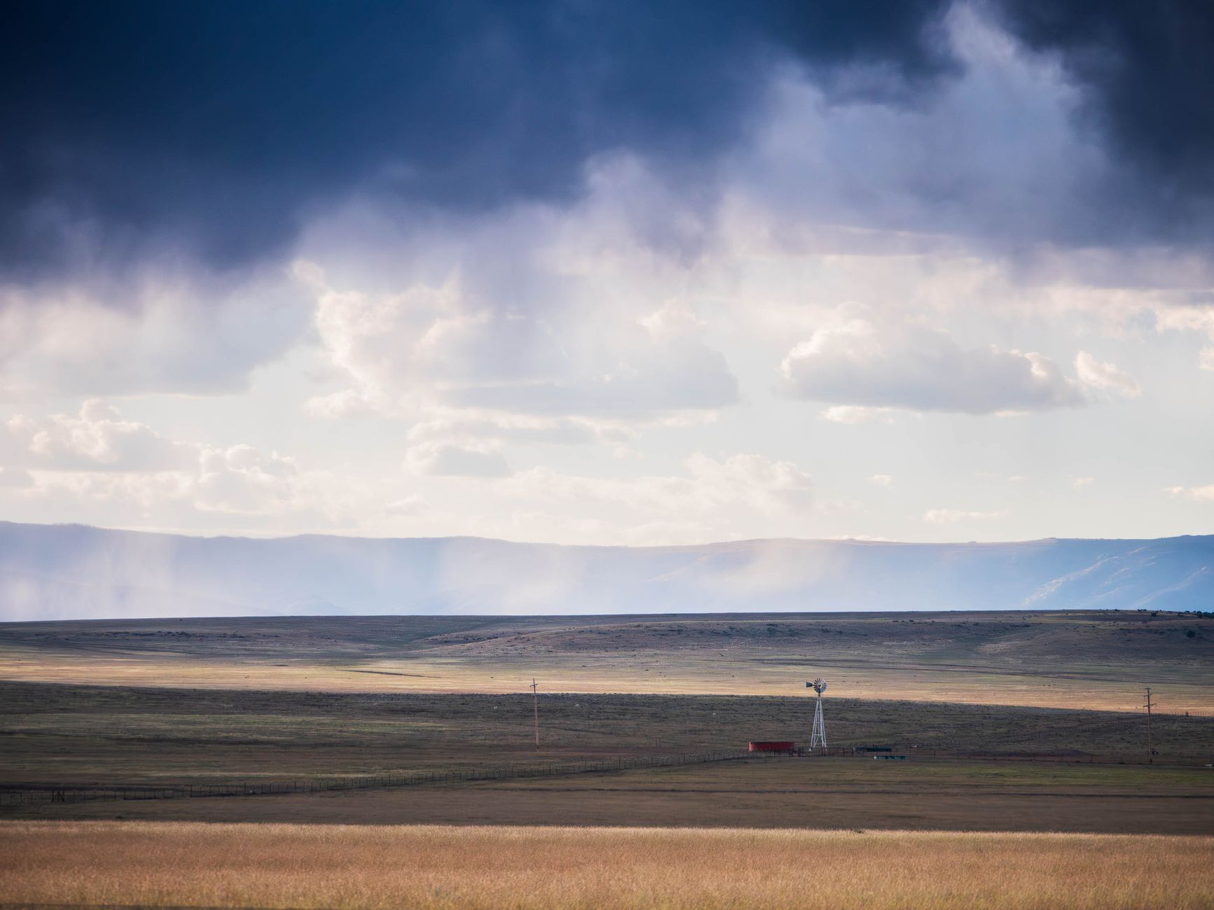 Open high-desert rangeland and scrub grassland in rural New Mexico at golden hour, with distant mesas.