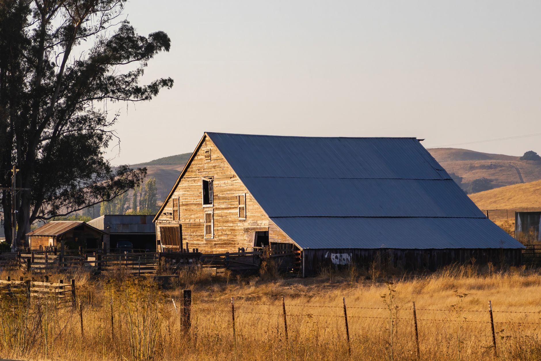 Rural Kings County farmland with dairy operations and open fields at golden hour.