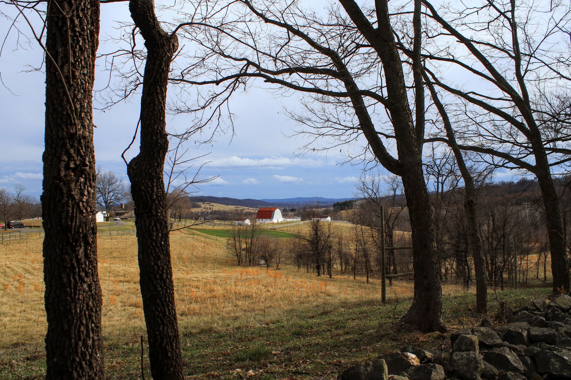 Rural Wythe County, Virginia cattle pasture and Blue Ridge Highlands terrain.