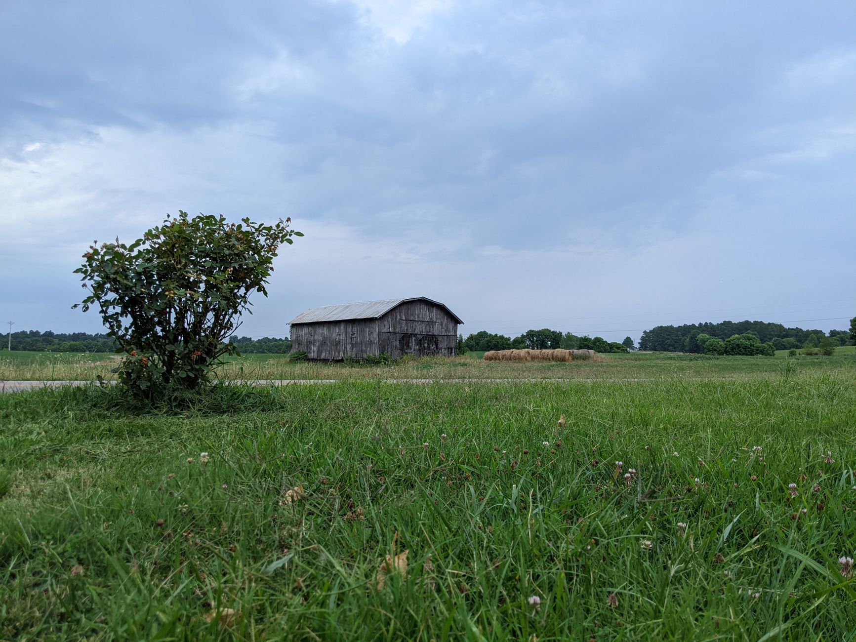 Rural Boyle County Kentucky farmland and pasture at golden hour.