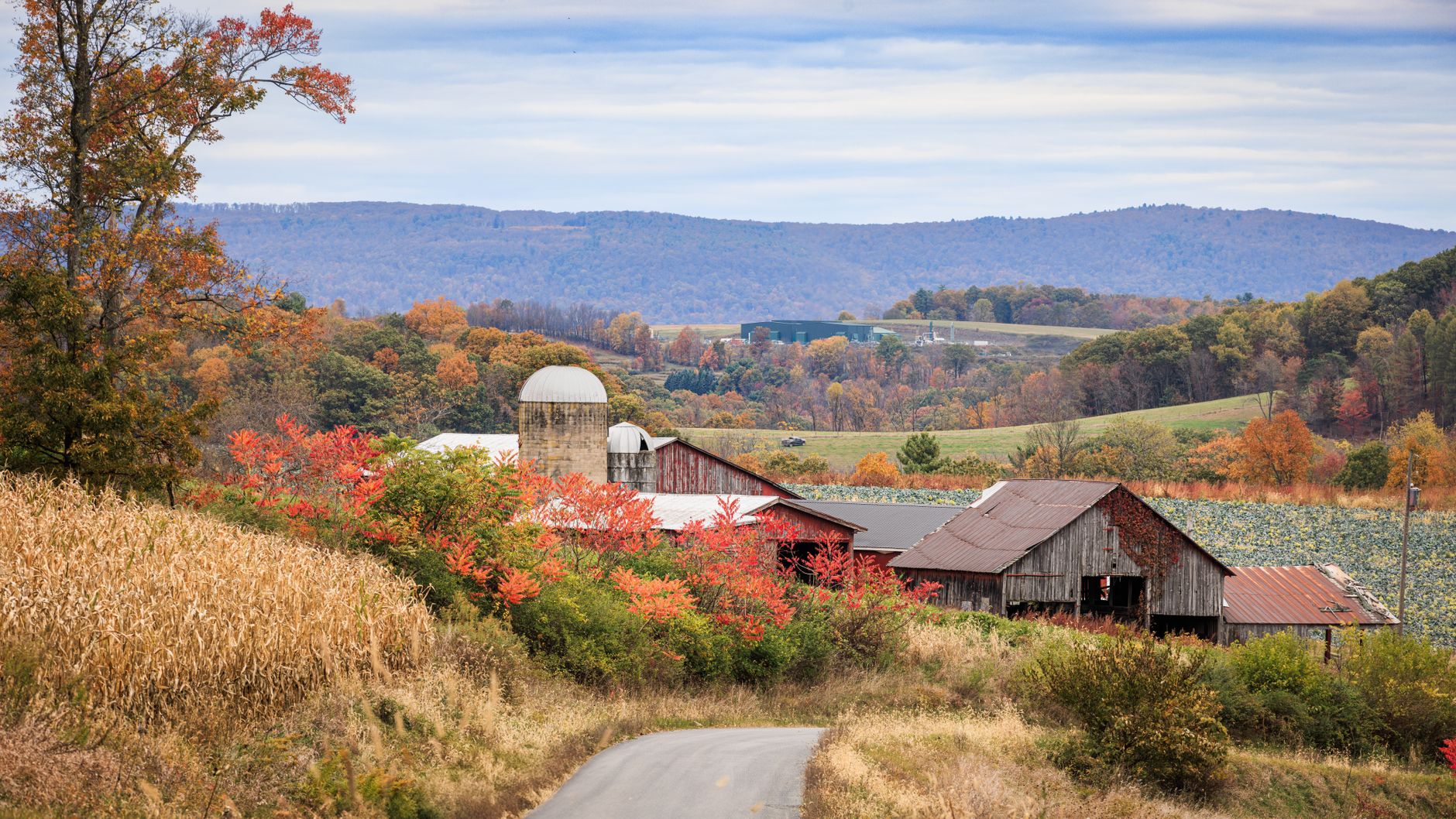 Eminent Domain and Right-of-Way: What Happens When a Utility or the Government Wants Your Land