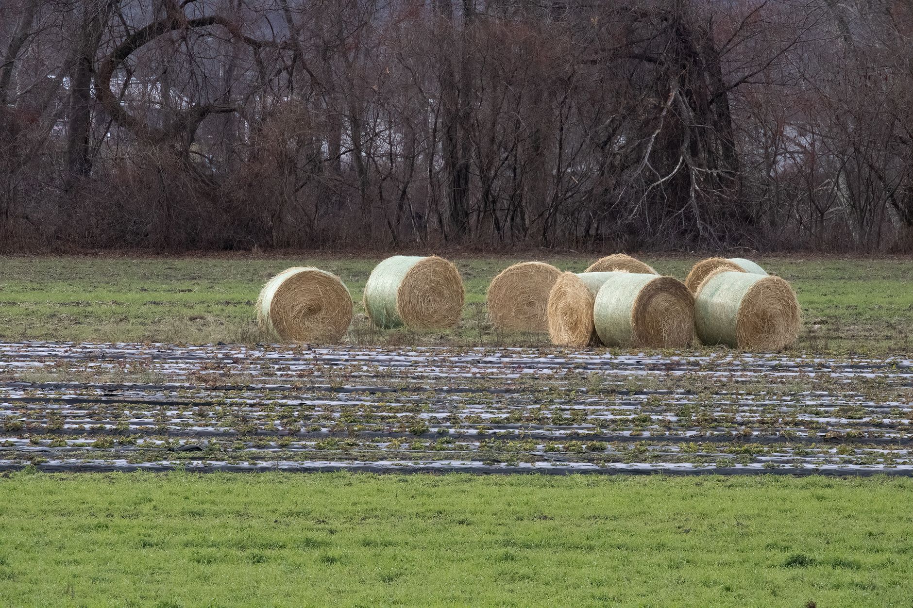 Partition Actions: What Happens When Co-Owners Won't Agree to Sell Land