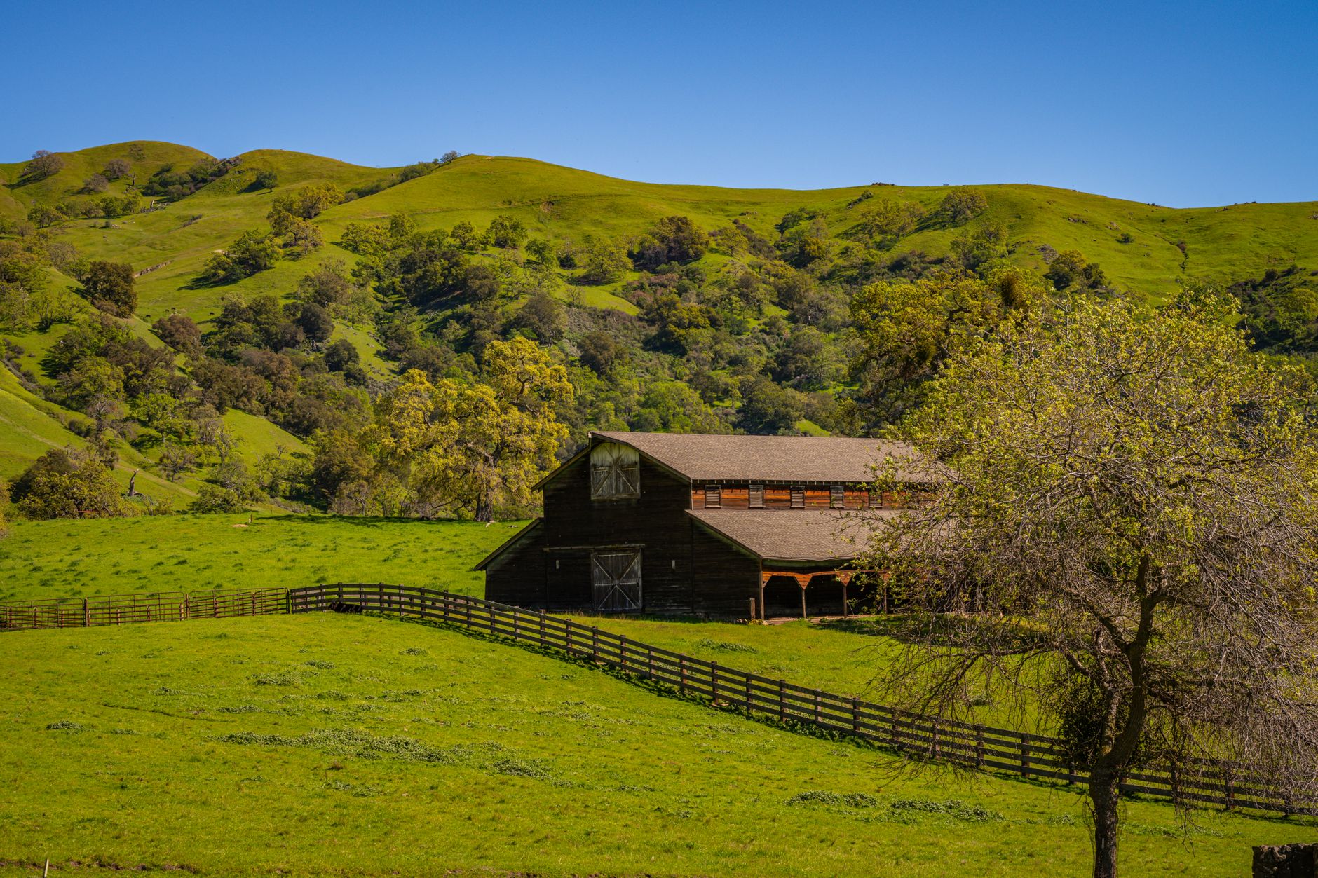 Flat irrigated cropland rows in the low desert of Imperial Valley, California, under a clear sky.