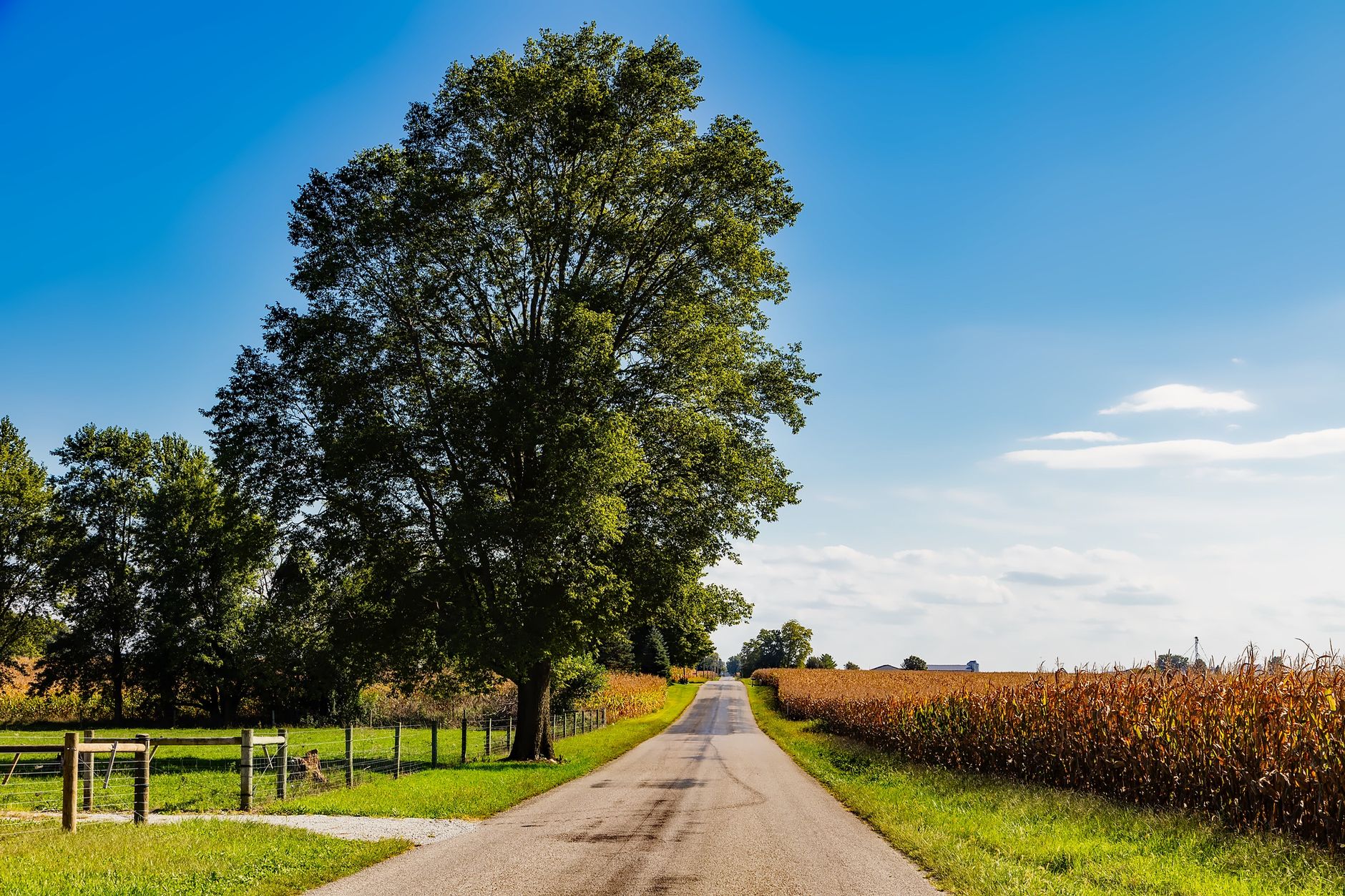 Rural Indiana farmland and cropland at golden hour