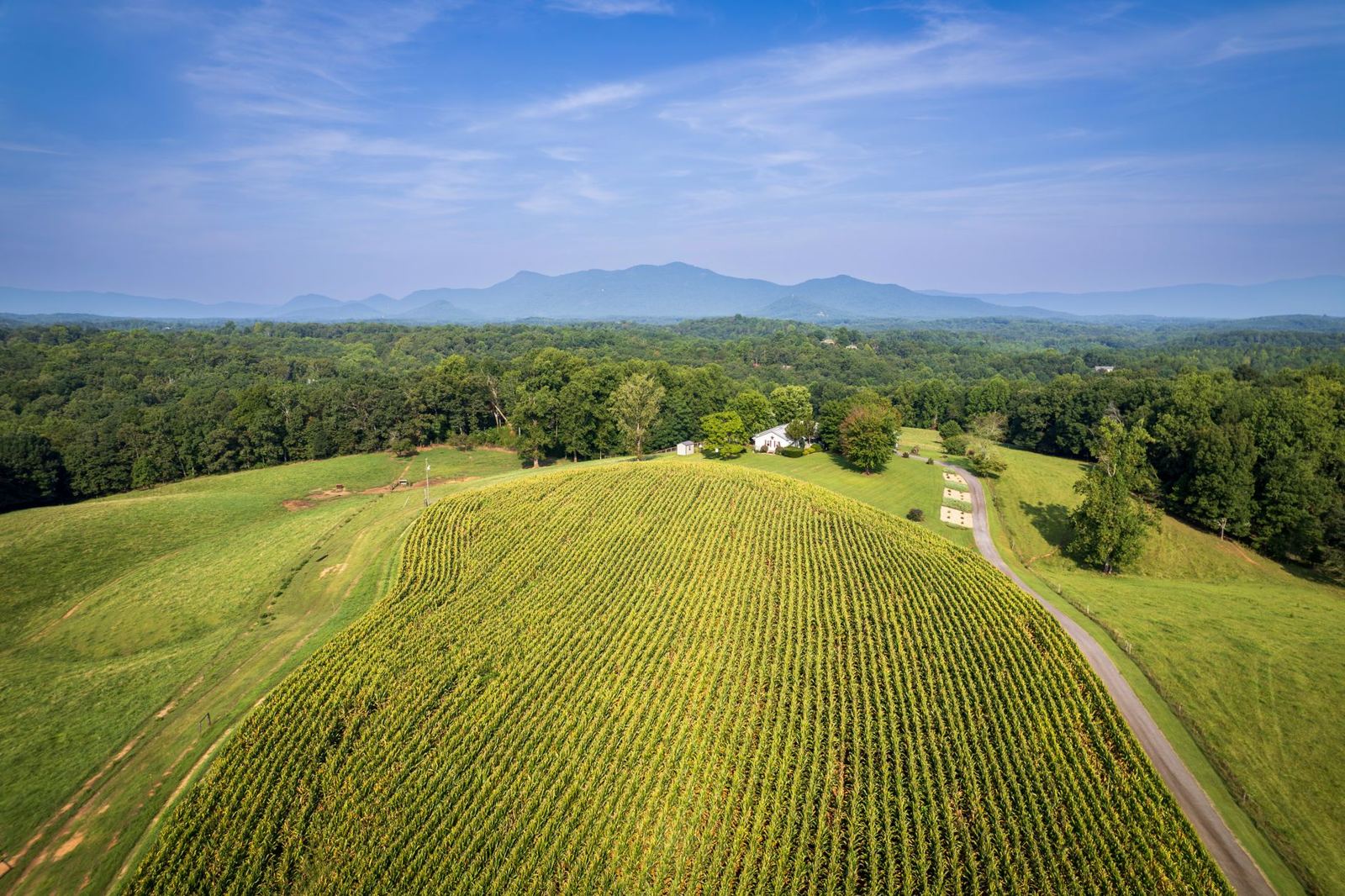 Aerial view of a North Carolina cornfield with Blue Ridge mountains in the distance