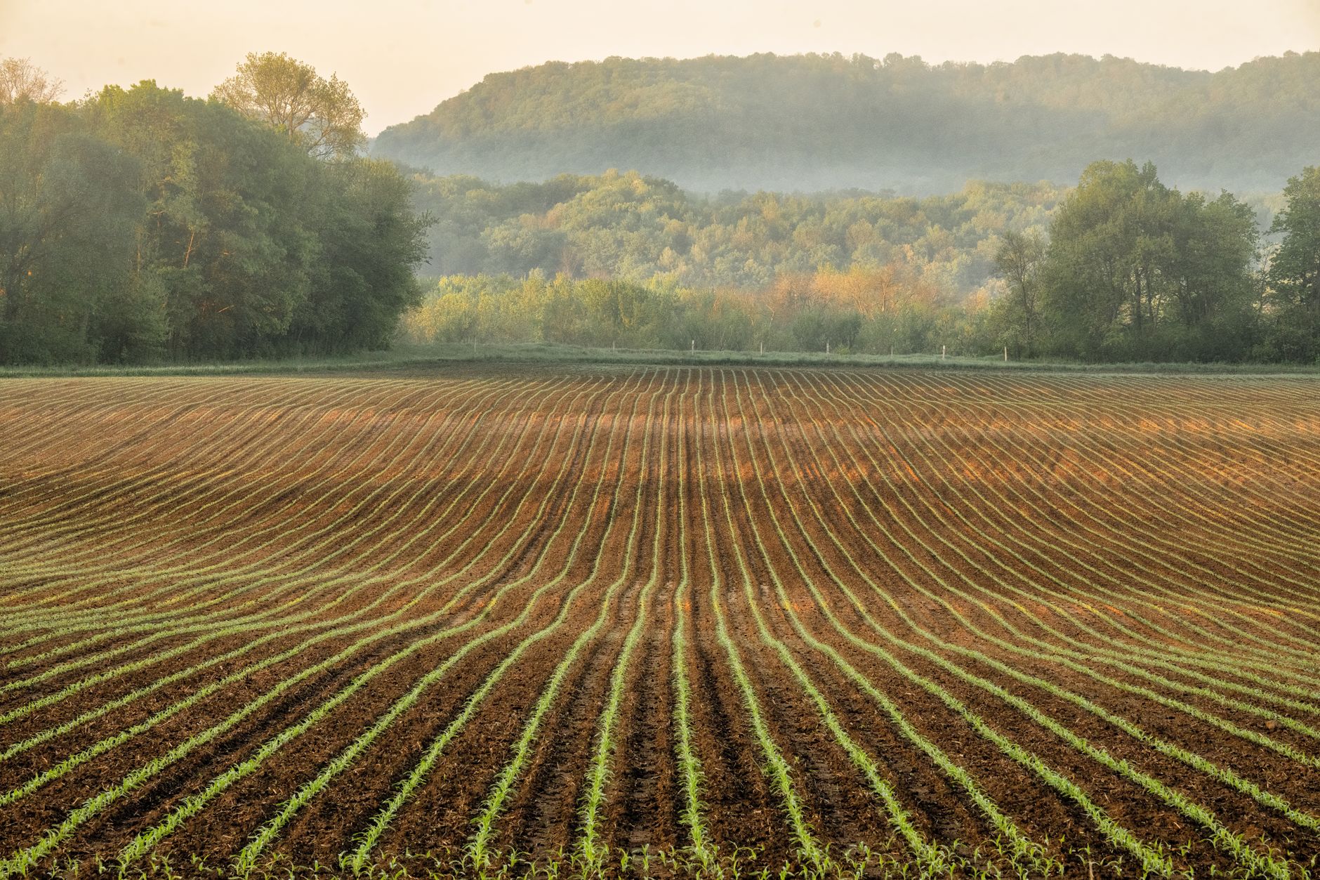 Rural eastern Kentucky mountain land with dense forest, river valley.