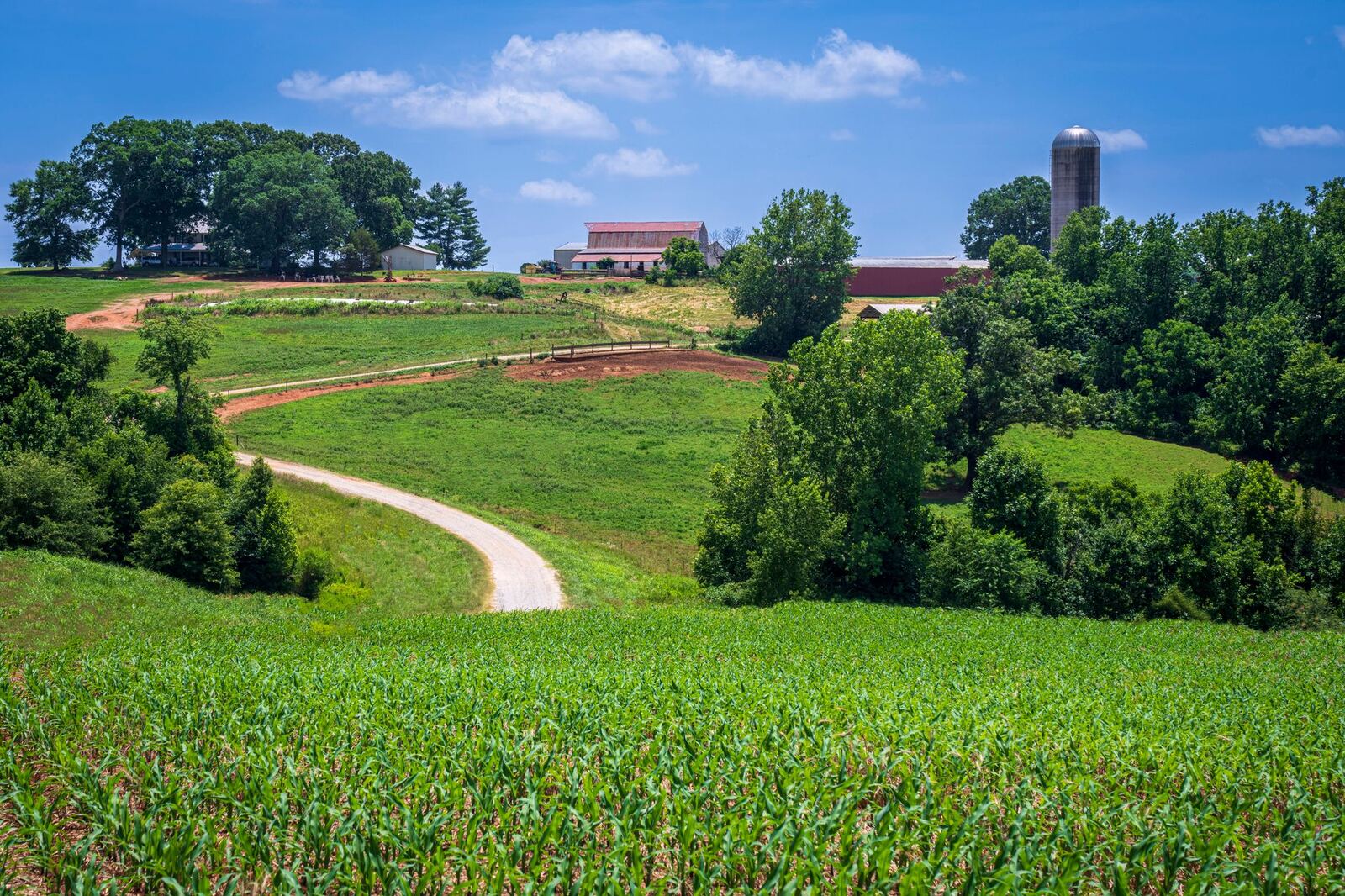South Carolina farm with red barn, silo, and cornfield on rolling Upstate hills
