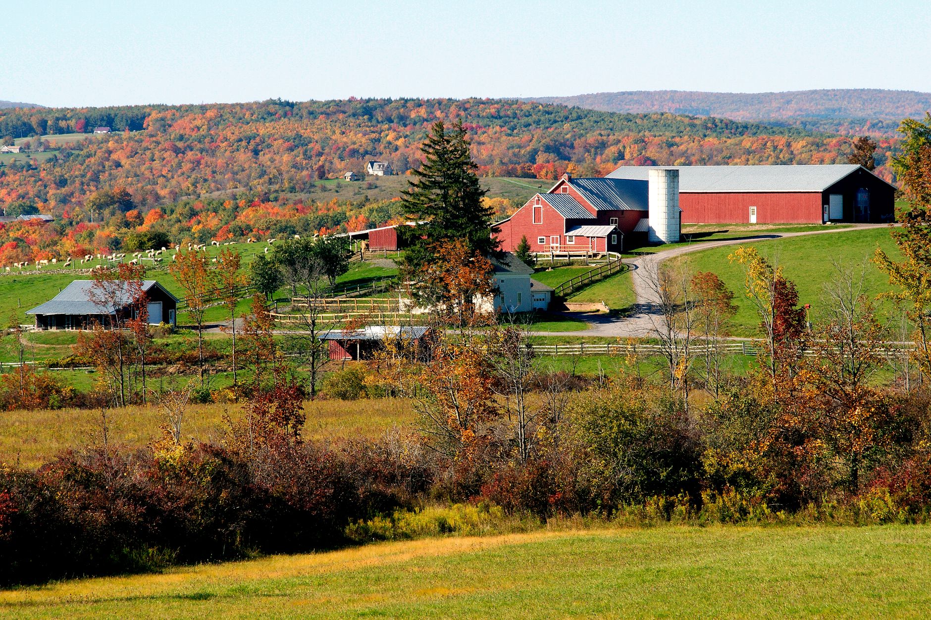 Aerial view of rural New York farmland and forest at golden hour.