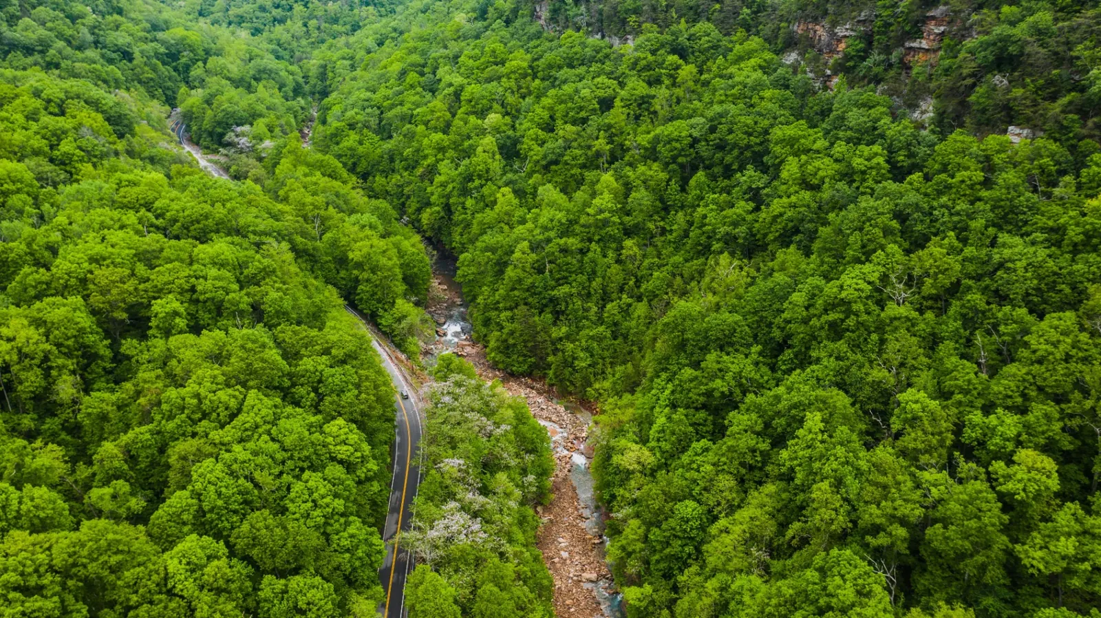Aerial view of a river gorge in East Tennessee — hardwood forested land PlaceAcre buys statewide
