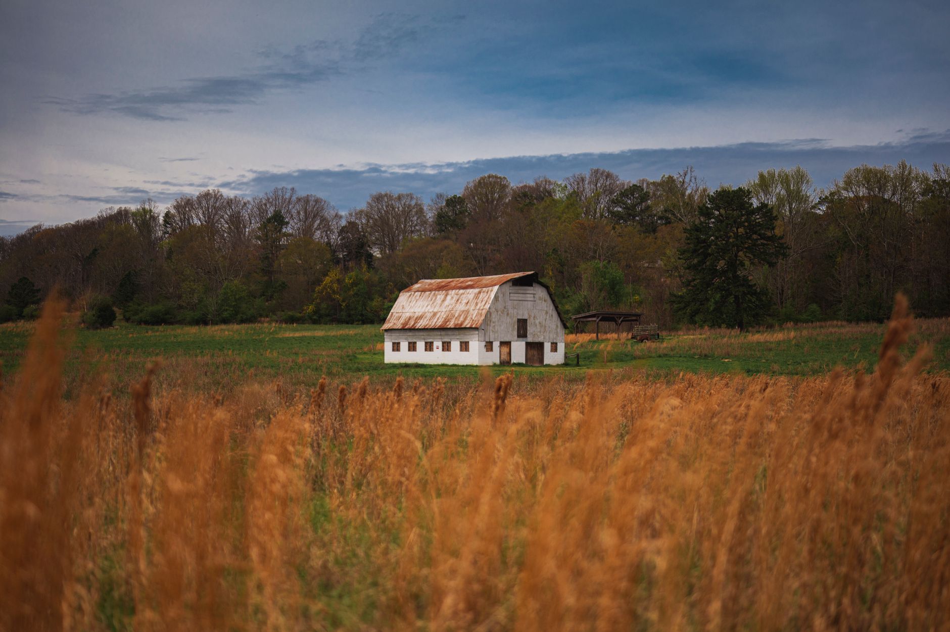 White County Georgia pasture and woodland, North Georgia mountains