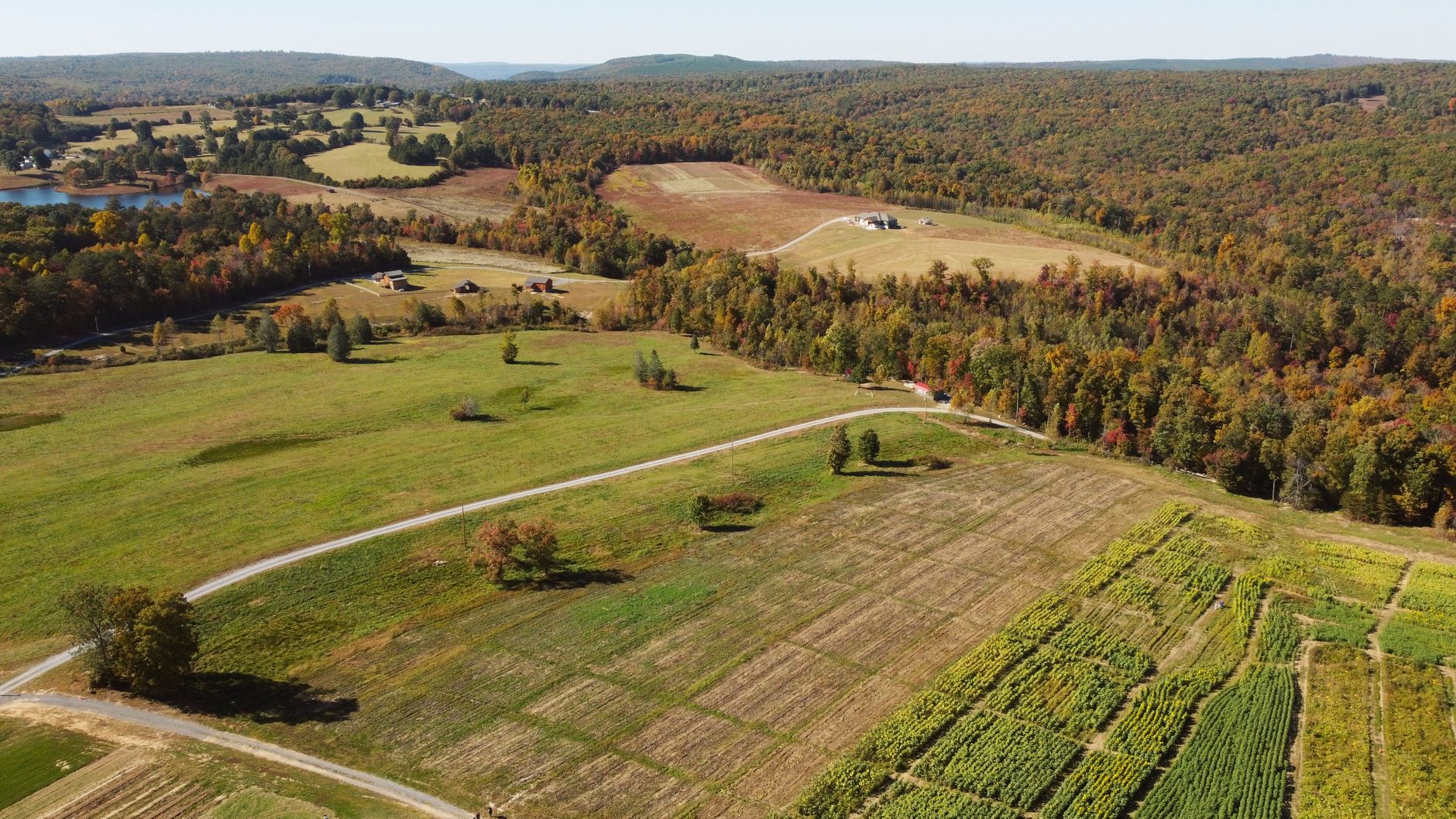 Marion County Tennessee rural land near the Tennessee River Gorge