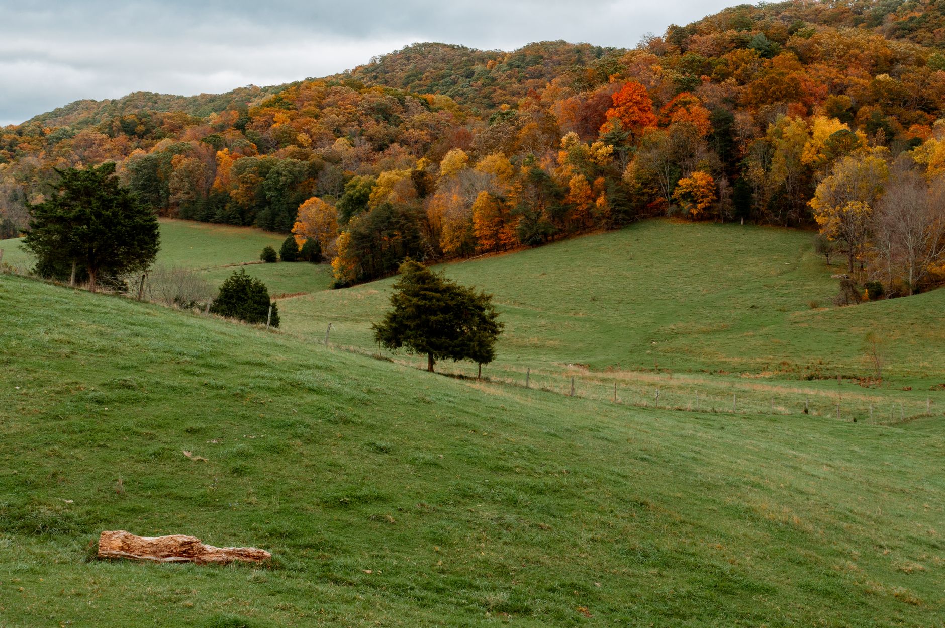 Cattle pasture and rolling hills near the Clinch River in Russell County, Virginia