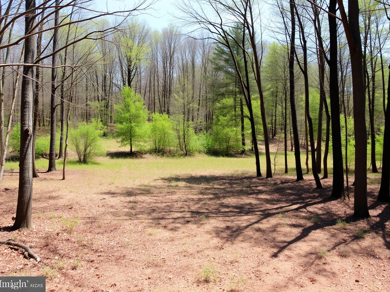 Wooded land for sale in Baltimore County Maryland