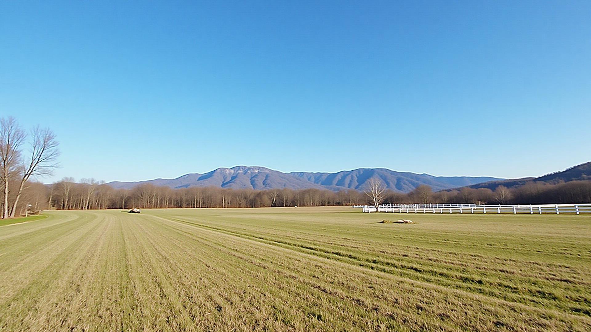 Open pasture land in Boone County Arkansas