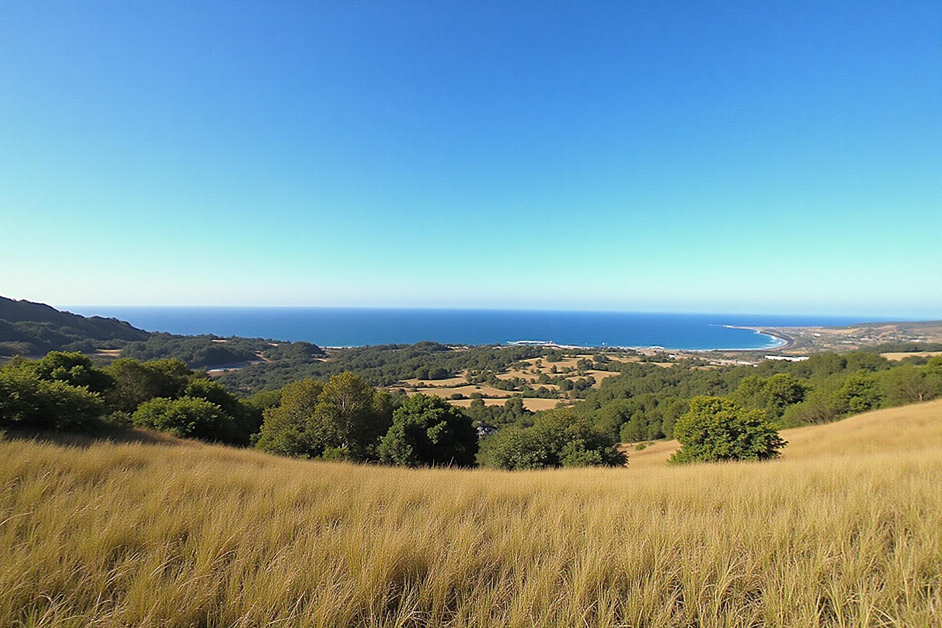 Mendocino County California vacant land with coastal views