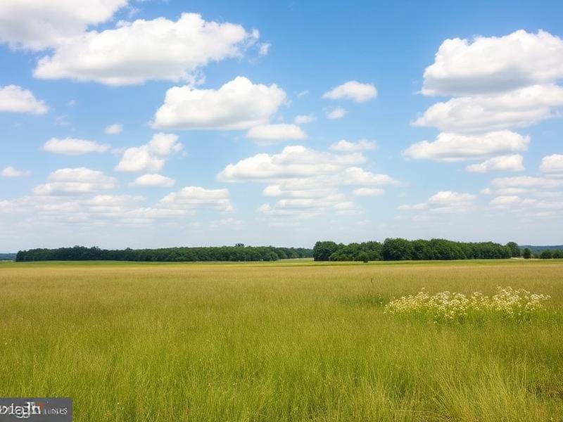 Open meadow land in Prince George's County